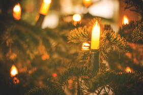 Lights on a Christmas tree